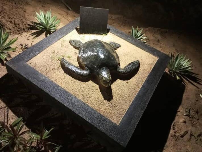 Hotel Golden Bell Tangalle Dış mekan fotoğraf