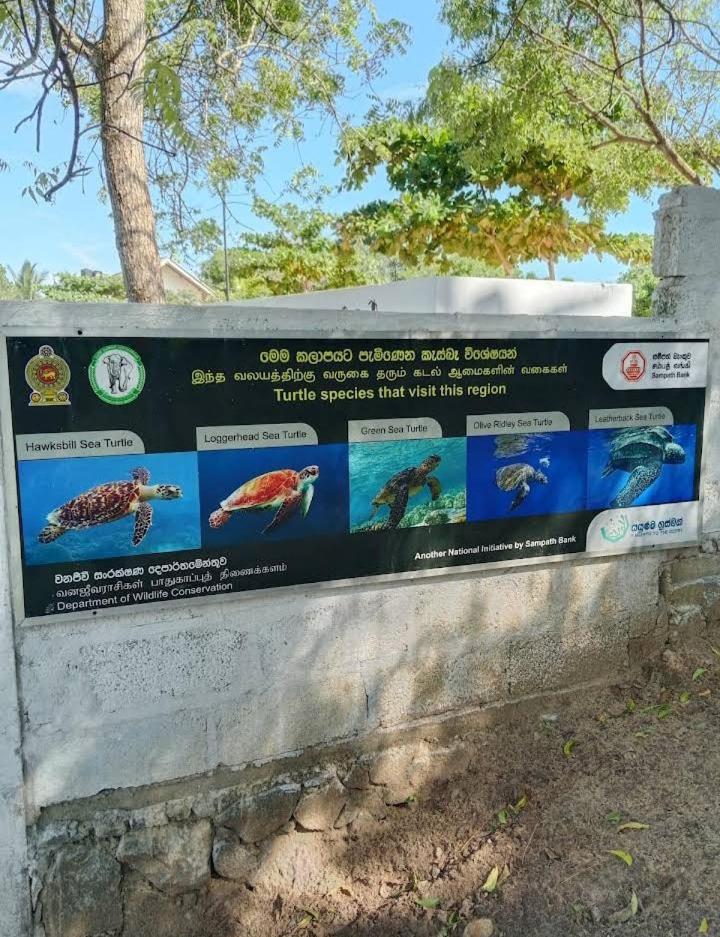 Hotel Golden Bell Tangalle Dış mekan fotoğraf