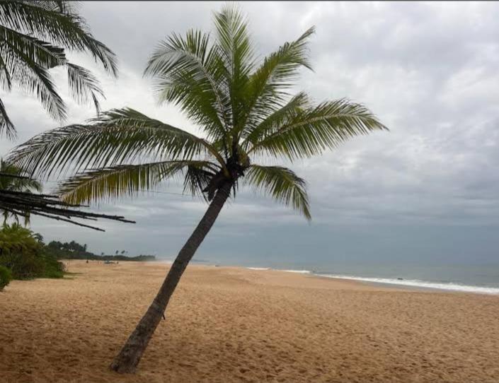 Hotel Golden Bell Tangalle Dış mekan fotoğraf