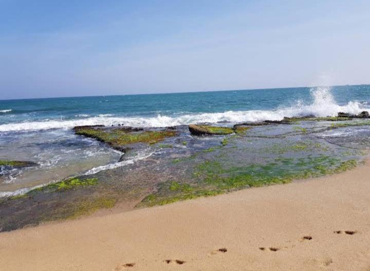 Hotel Golden Bell Tangalle Dış mekan fotoğraf