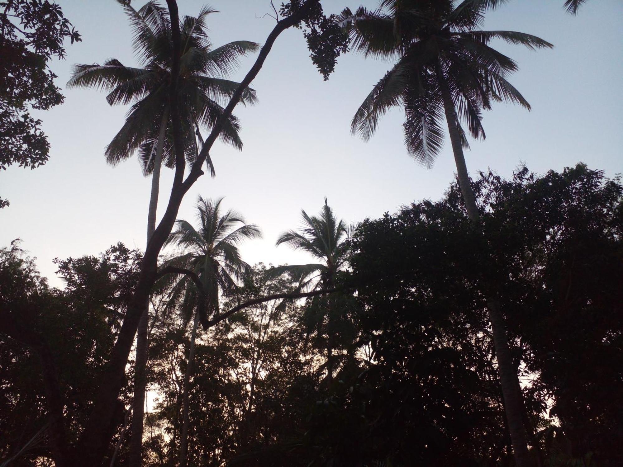 Hotel Golden Bell Tangalle Dış mekan fotoğraf